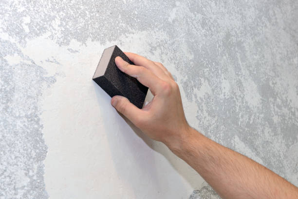  Hood River, OR Mold Removal Pros