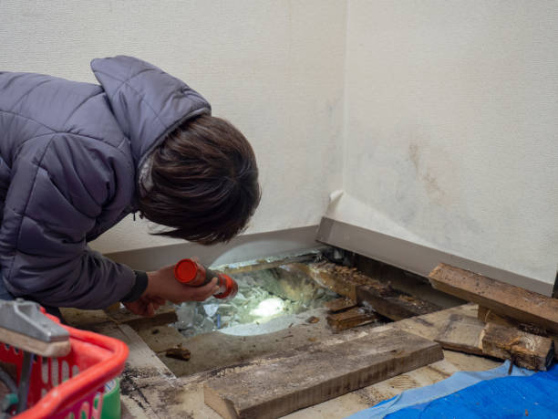 Best Asbestos and Lead Testing During Mold Inspection  in Hood River, OR